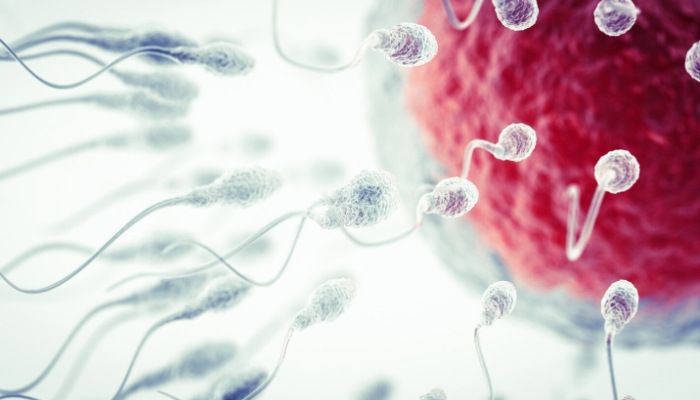 alkohol och graviditet, en forskningsrapport